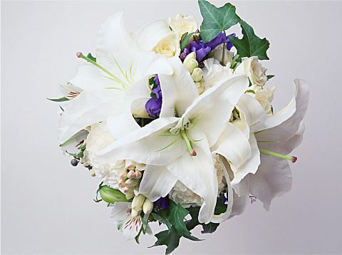 写真：火葬式プラン